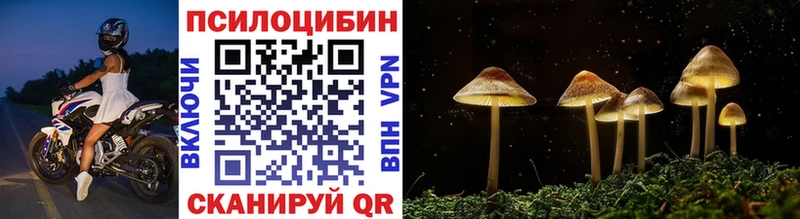 Псилоцибиновые грибы Psilocybine cubensis  сайты даркнета формула  Костерёво  магазин продажи  